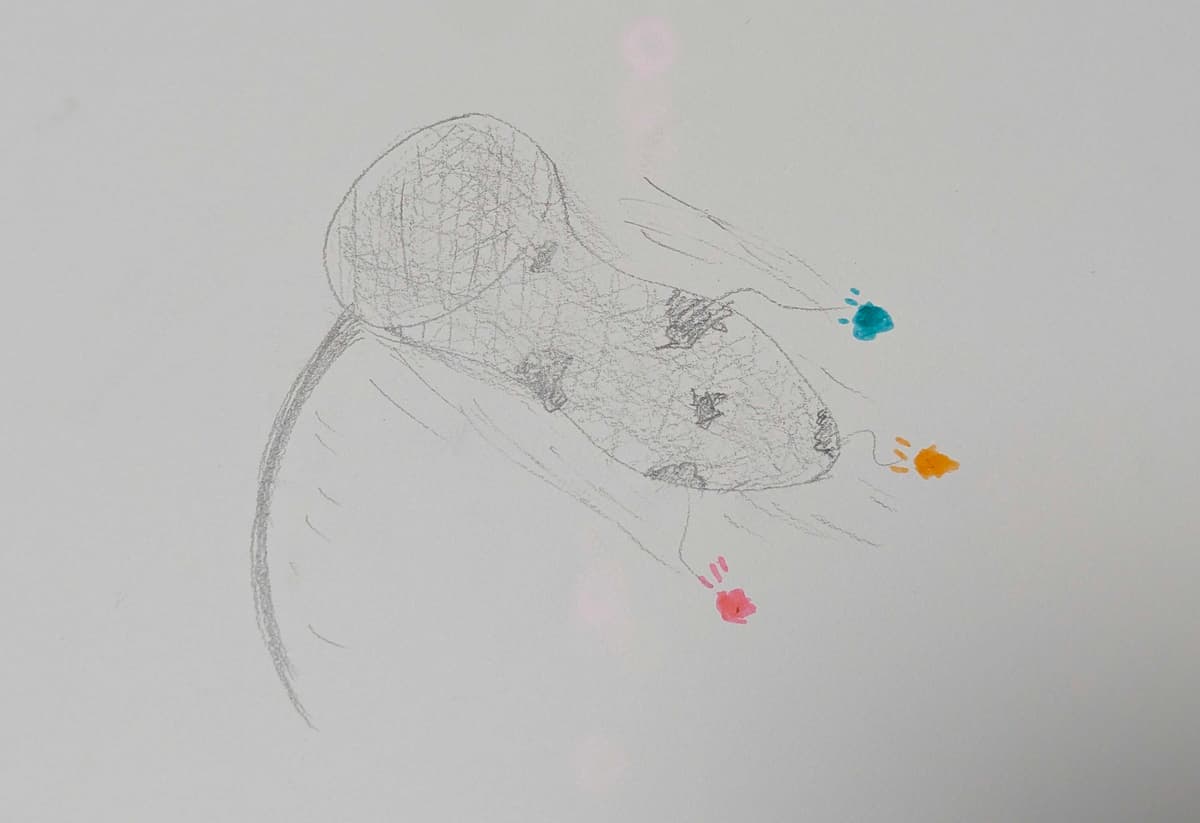 学びの取り逃がし
